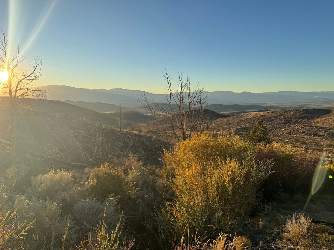 A New Beginning: The Soft Launch of the Olney Ranch Marketplace 🌾