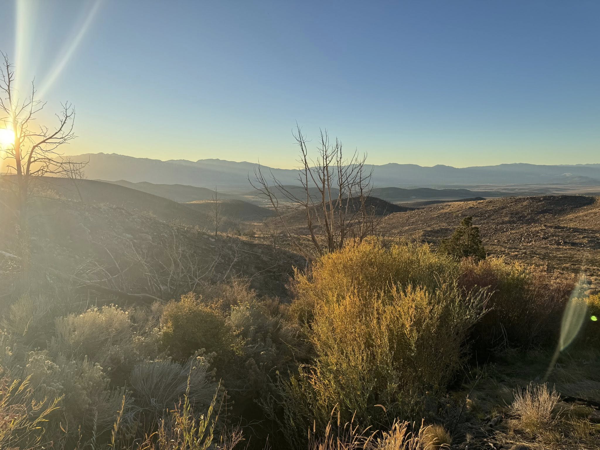 A New Beginning: The Soft Launch of the Olney Ranch Marketplace 🌾