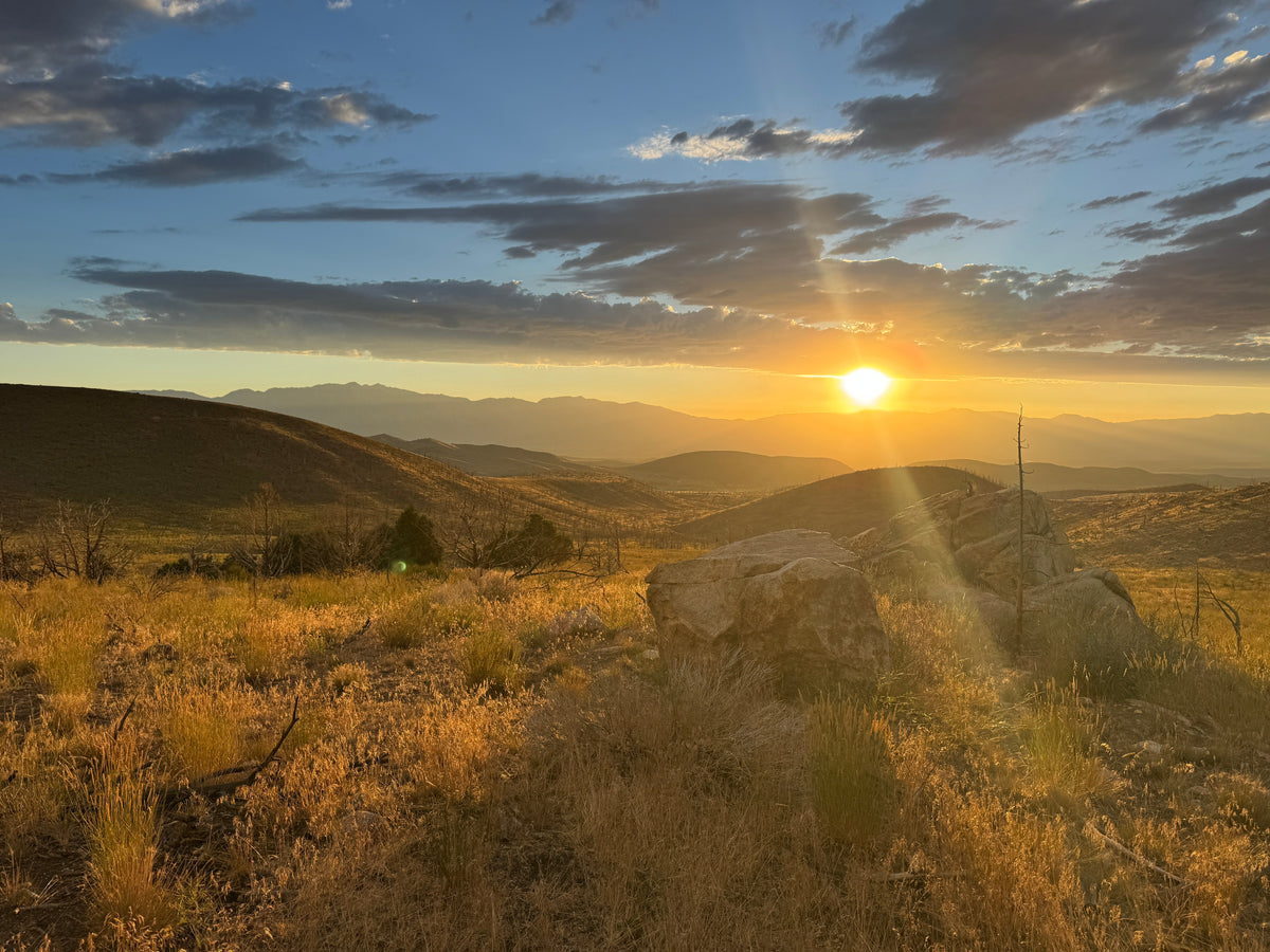 Summer Homesteading in Nevada: Beating the Heat and Staying Fire Ready